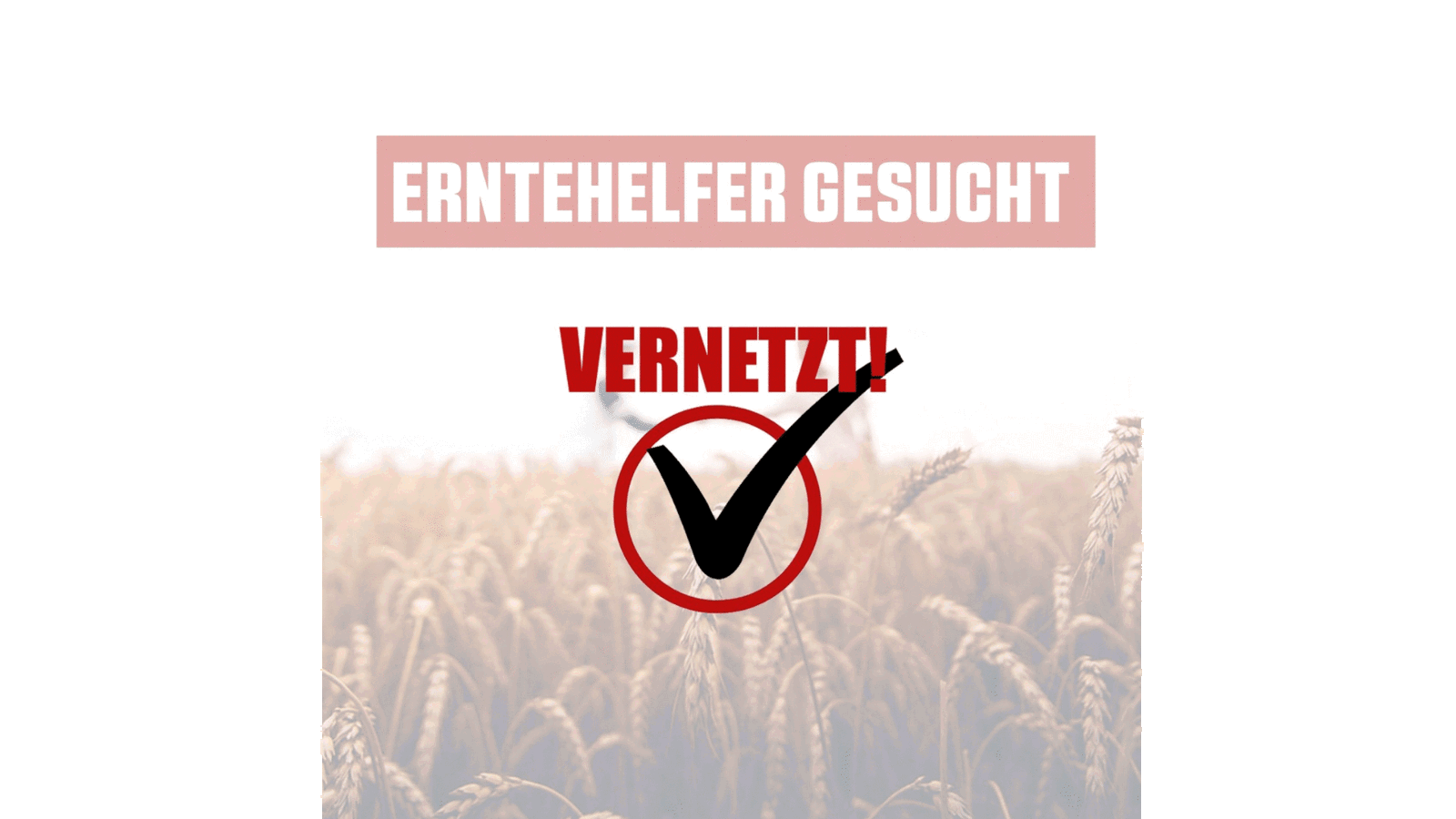 Erntehelfer