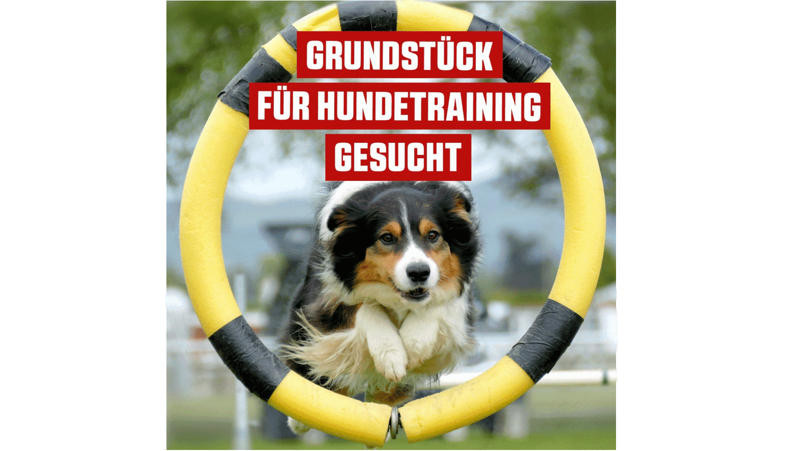 Hundetrainingszentrum
