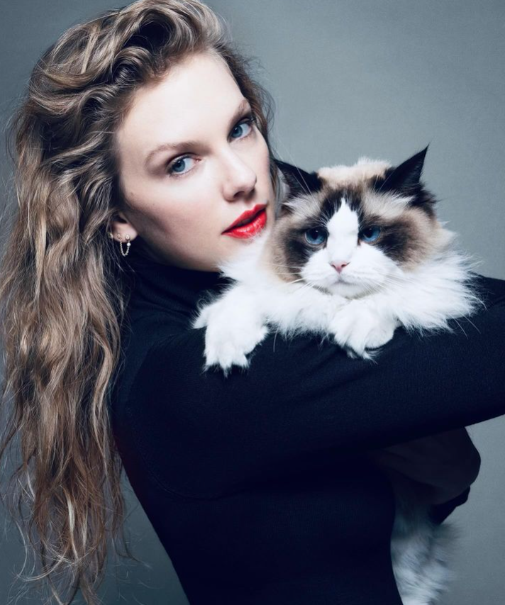 taylorswift_instagram