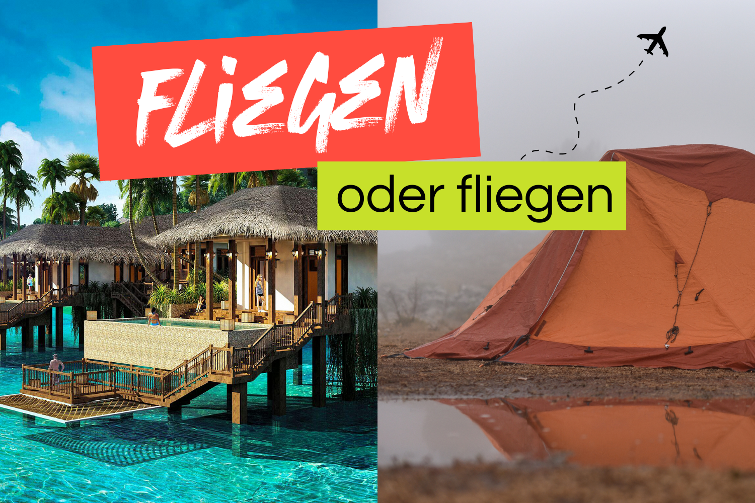 Fliegen oder Fliegen