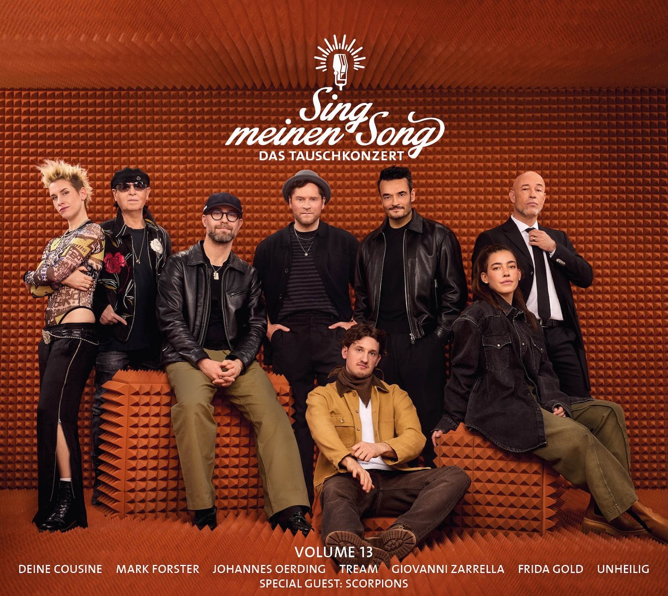 Sing mein Song Album