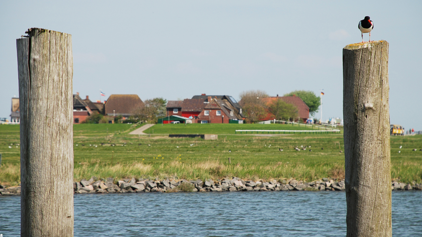 Hallig Hooge