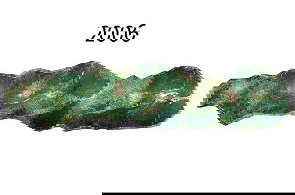 Instituto Terra 2006.png