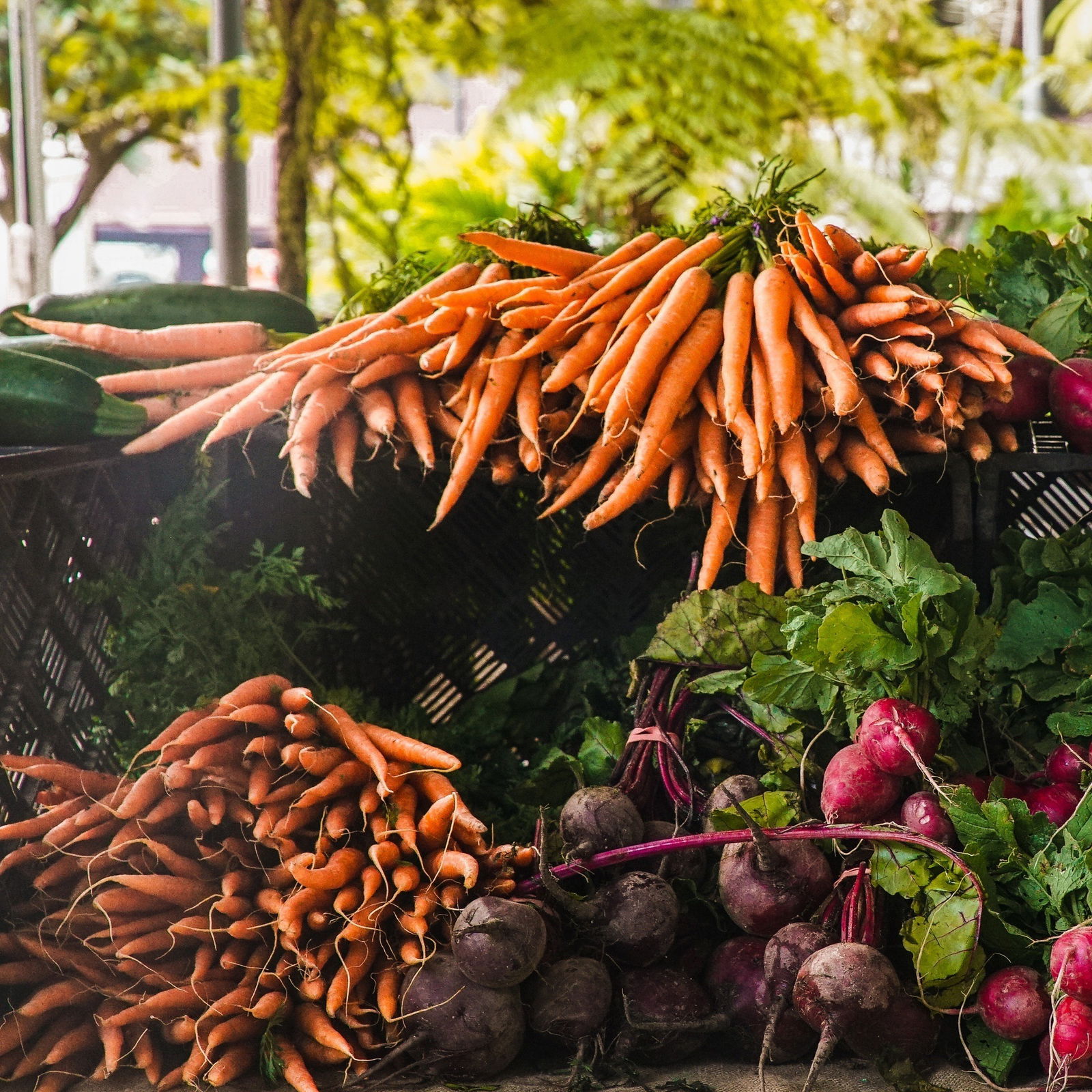 Möhren, Karrotten, Gemüse