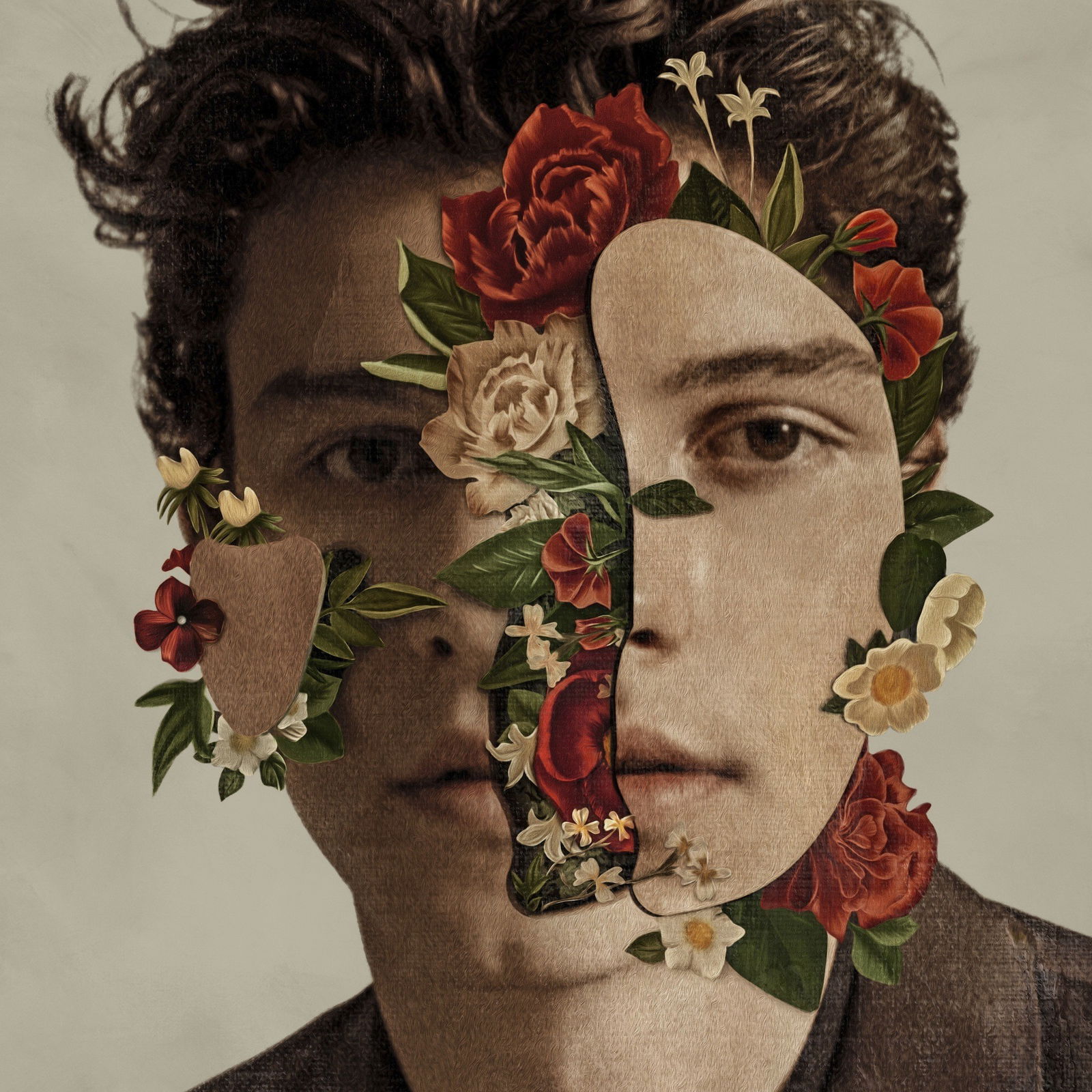 Shawn Mendes Albumcover