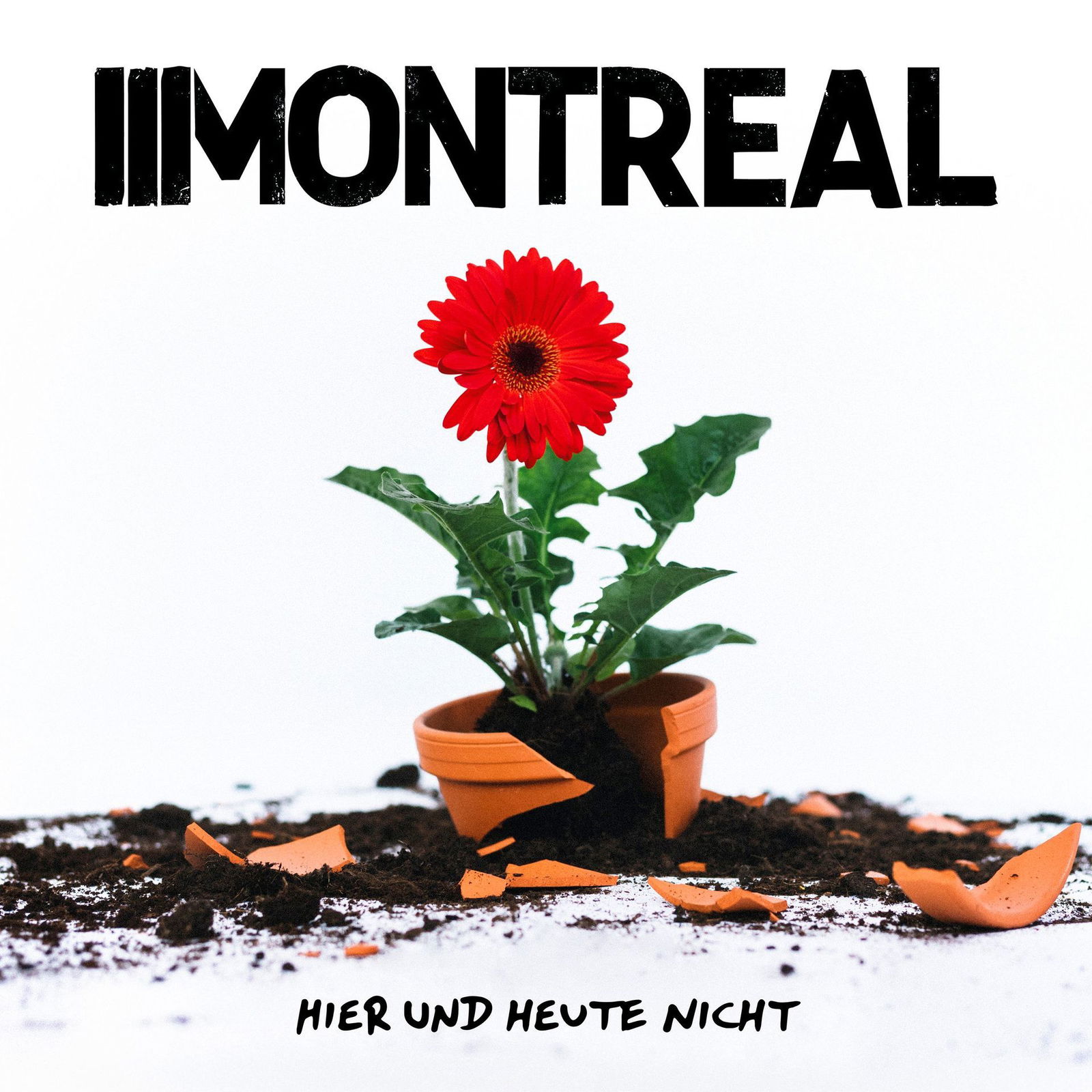 Album der Woche: Montreal - Hier und heute nicht