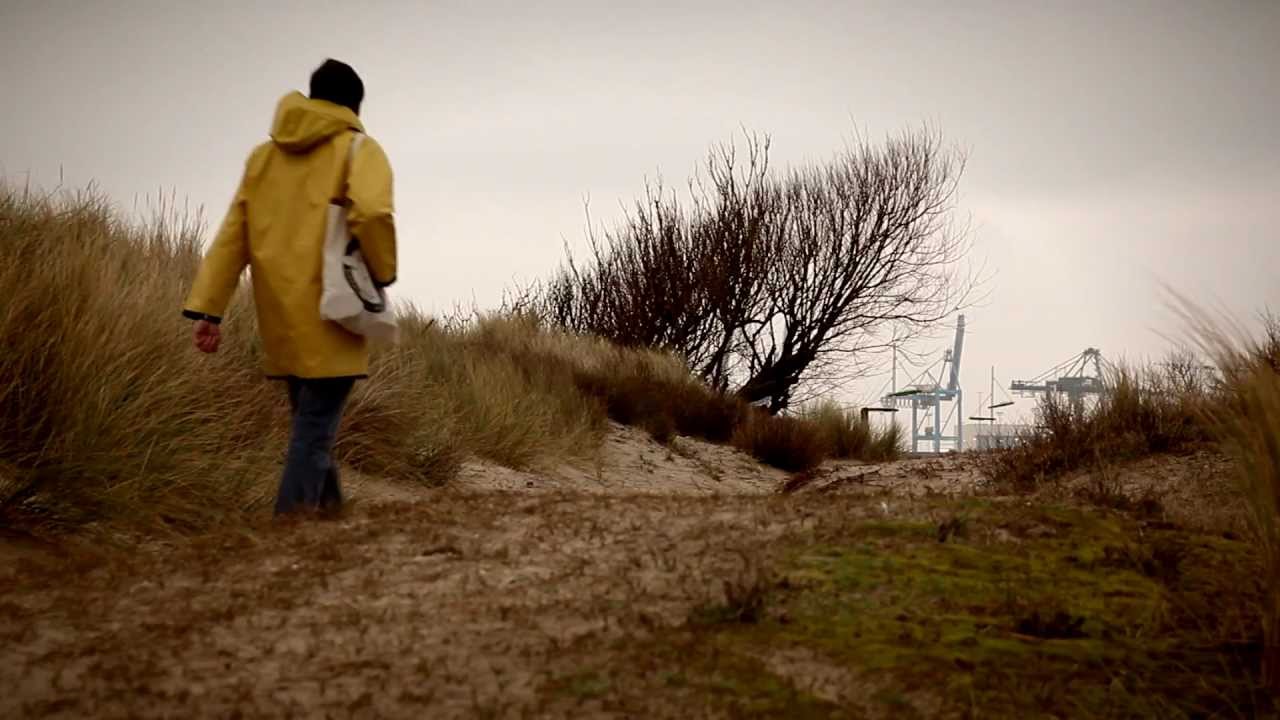 Danger Dan - Ölsardinenindustrie (Antilopen Gang)