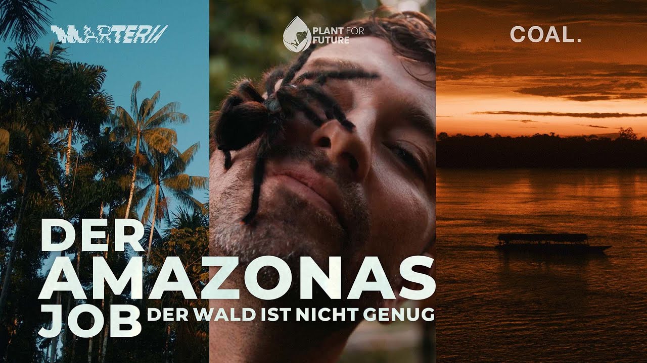 DER AMAZONAS JOB – DER WALD IST NICHT GENUG