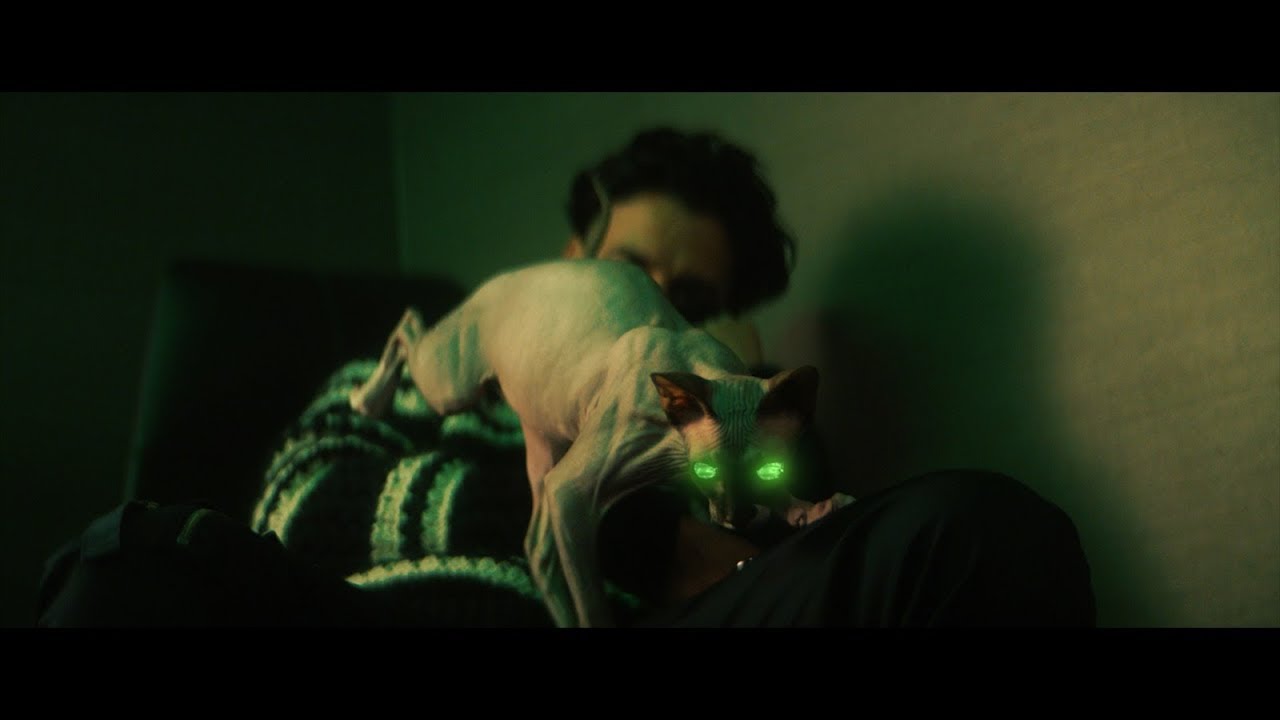 Ufo361 – „Irina Shayk” ???