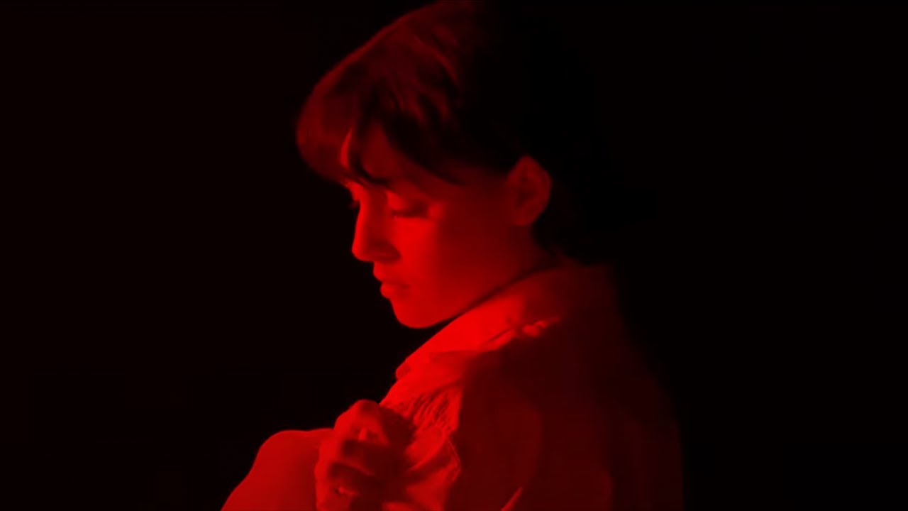 LOTTE - DUNKELROT ZU SCHWARZ (Offizieller Visualizer)