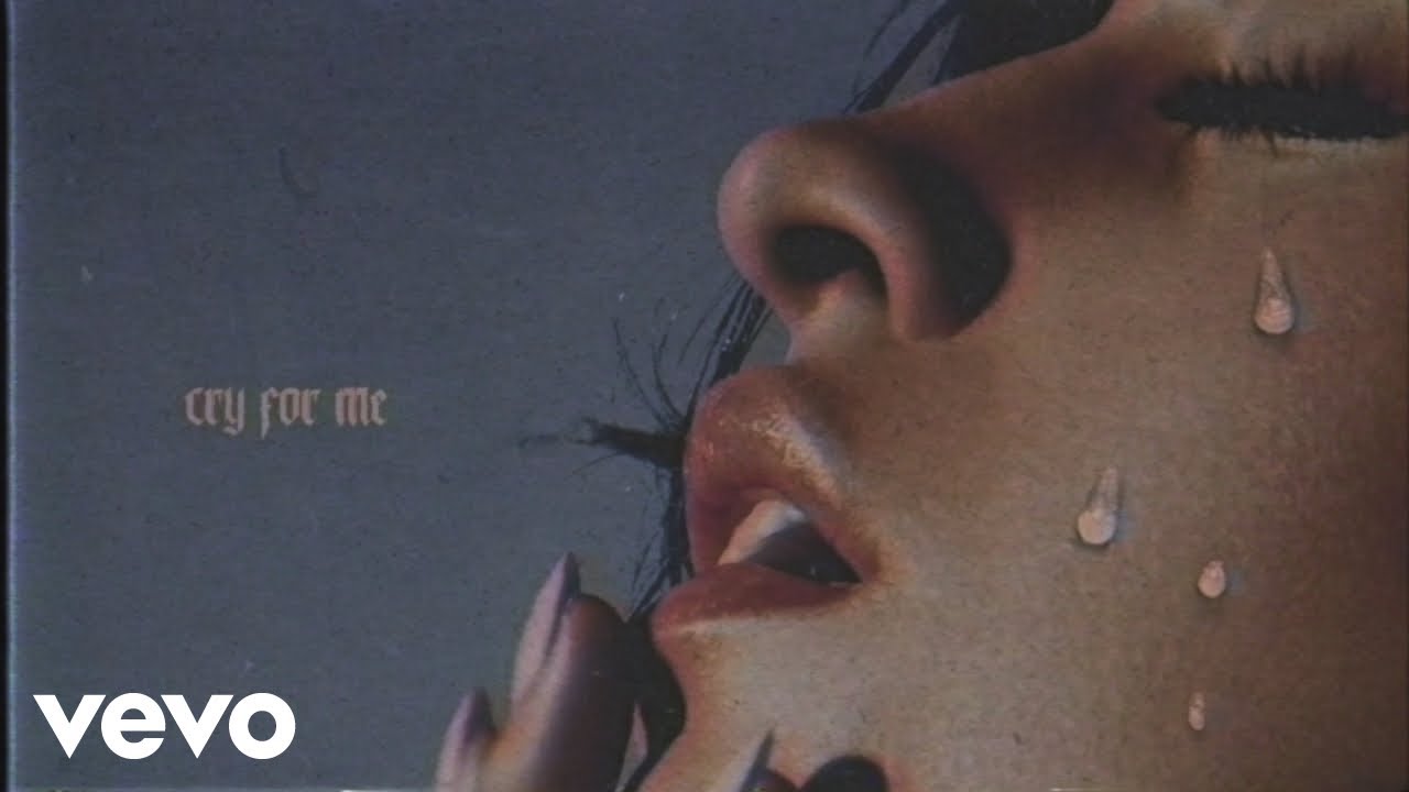 Camila Cabello - Cry for Me (Animated Audio)