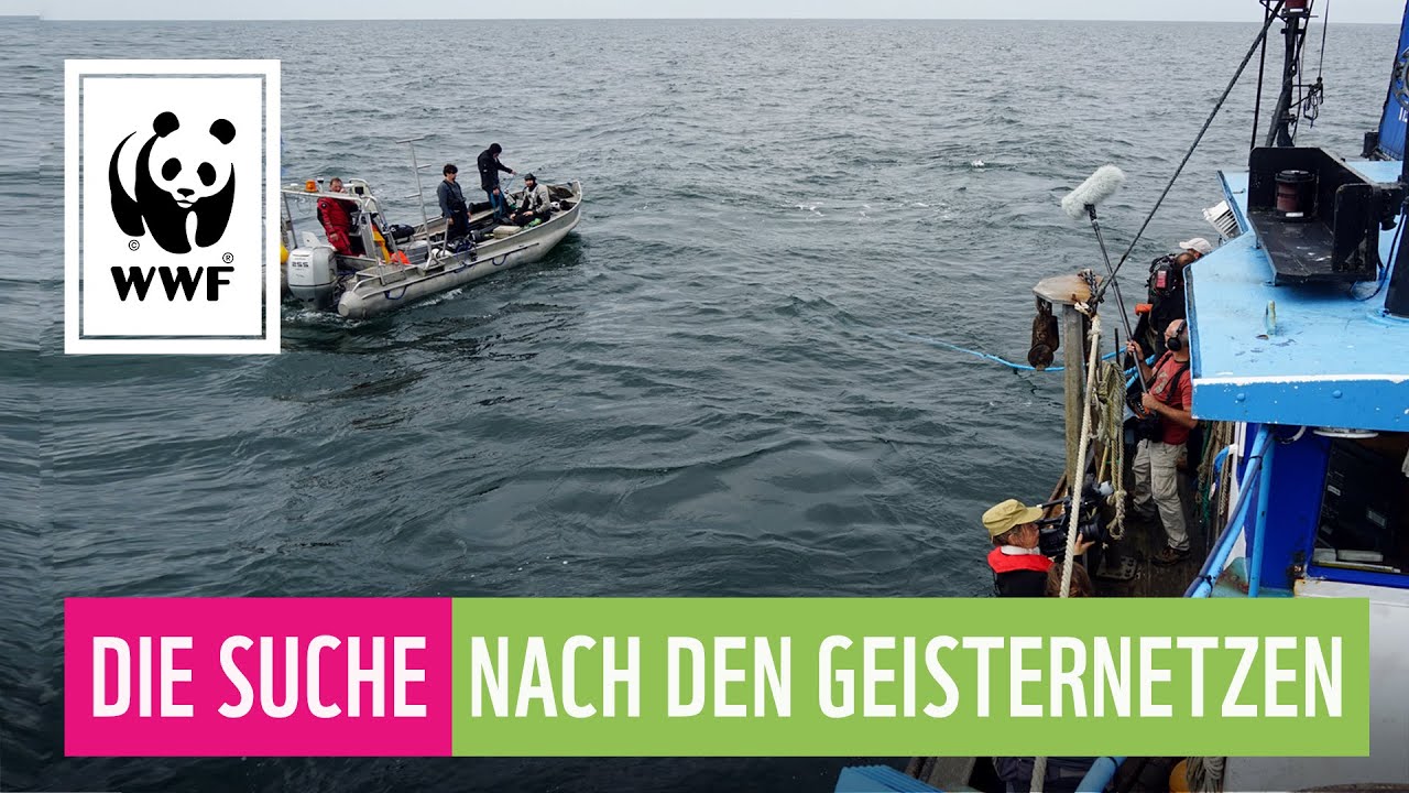 Gefährdung der Weltmeere: Was ist ein Geisternetz? | WWF Deutschland