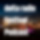 delta radio Festival Podcast